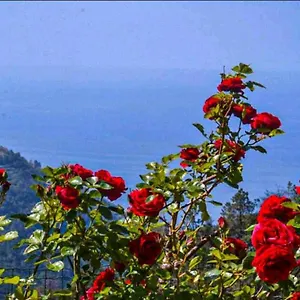 https://ca-du-bene.hotelitalianriviera.com